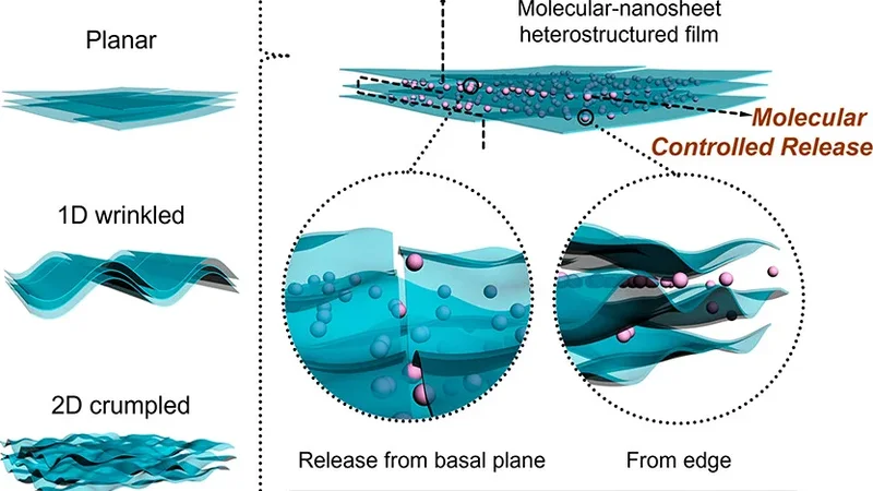 물리 기반 신경망을 활용한 약물 방출 모델링
