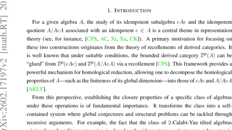 상속 아벨리안 범주 위 실링 복합체의 자기동형 대수 연구