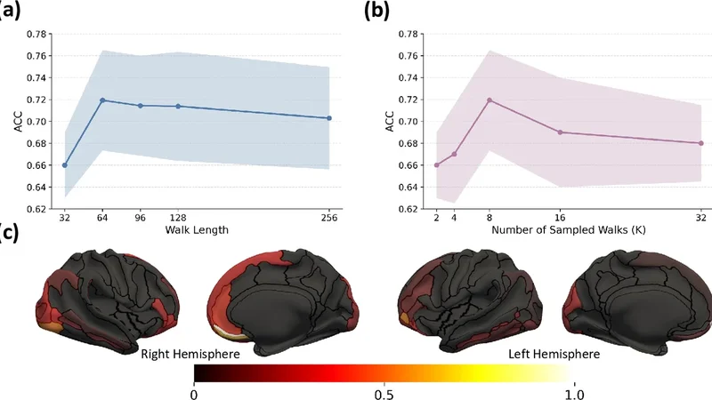 Probability-Invariant Random Walk Learning on Gyral Folding-Based Cortical Similarity Networks for Alzheimer's and Lewy Body Dementia Diagnosis