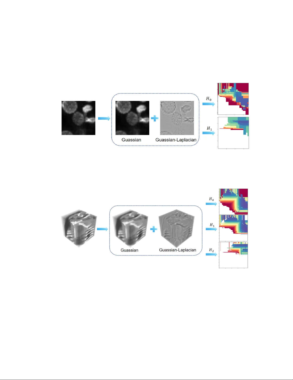 의료 영상 분류를 위한 GLoG 바이필터링