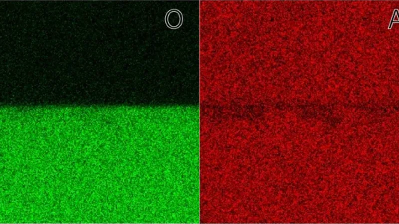 Loss Mechanisms in High-coherence Multimode Mechanical Resonators Coupled to Superconducting Circuits