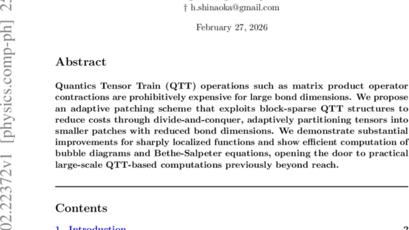 Adaptive Patching for Tensor Train Computations