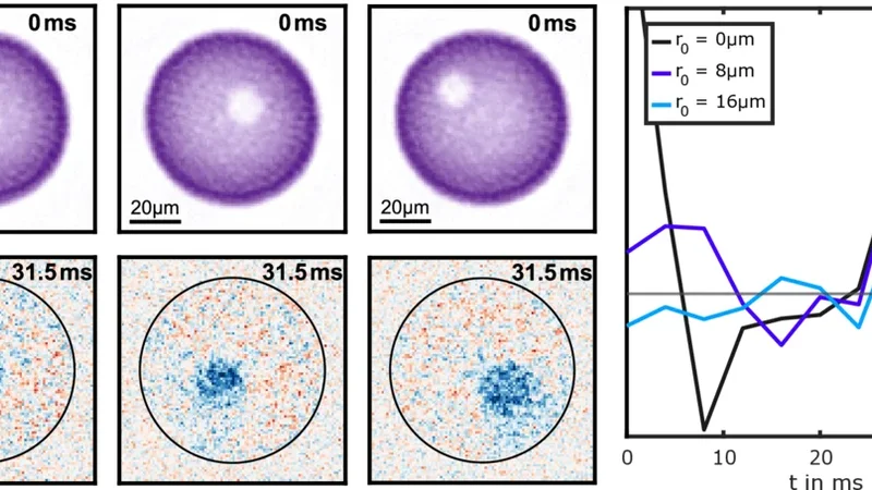 A Maxwell Fish-Eye Lens in a Bose-Einstein Condensate