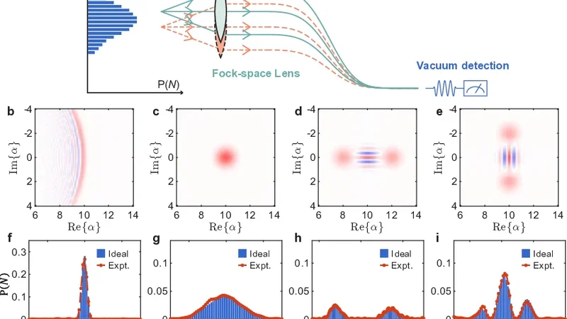 Quantum Confocal Microscopy in Fock Space with a 19 dB Metrological Gain