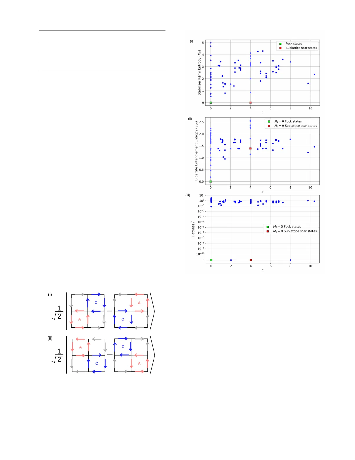 격자 게이지 이론 속에 숨은 정확한 안정화자 흉터 상태