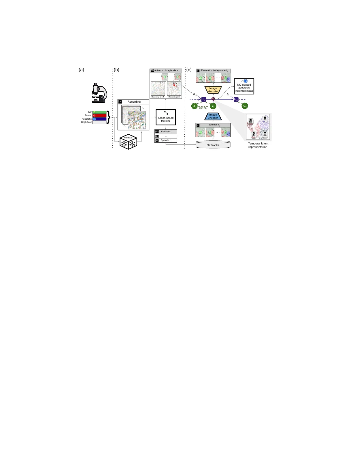 BLINK: Behavioral Latent Modeling of NK Cell Cytotoxicity