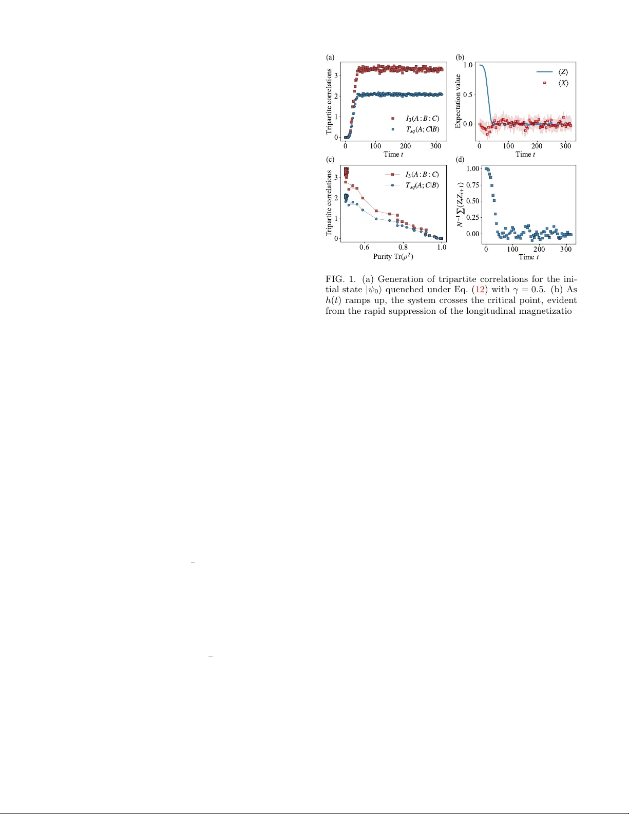 히스테리시스 스쿼시드 엔탱글먼트 다중입자 시스템의 조건부 양자 상관량