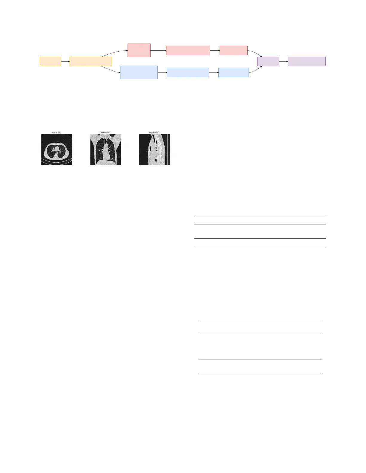 2.5D와 3D 모델을 결합한 COVID‑19 CT 진단 프레임워크