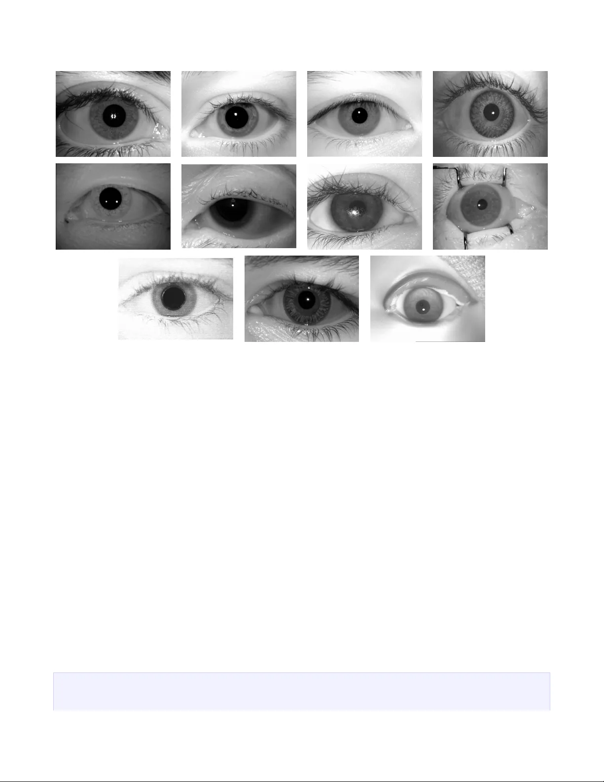 멀티모달 대형 언어 모델, 인간 전문가 지식으로 홍채 위조 공격 탐지 능력 획득