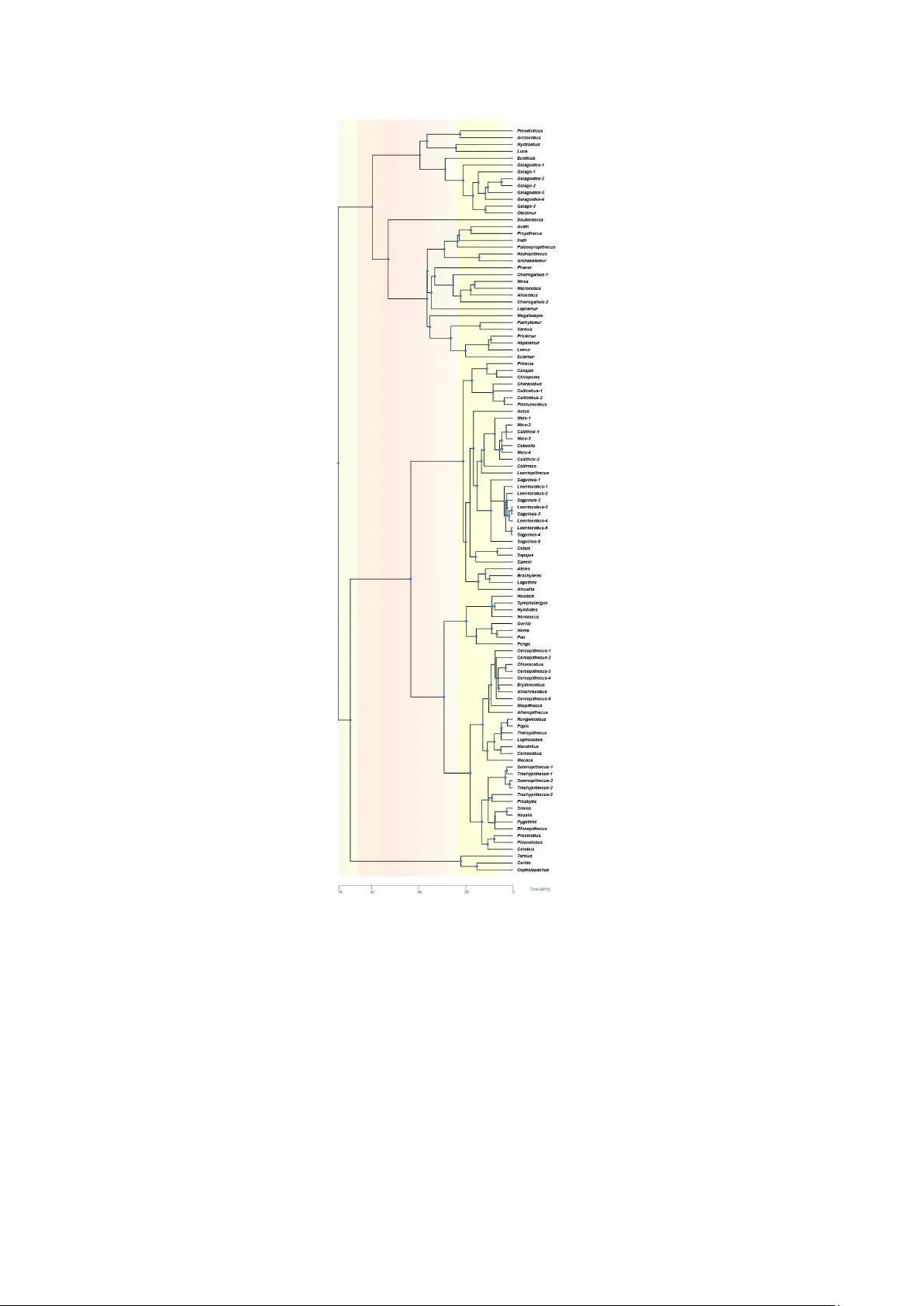 초음계 나무의 스펙트럼 기하와 열핵