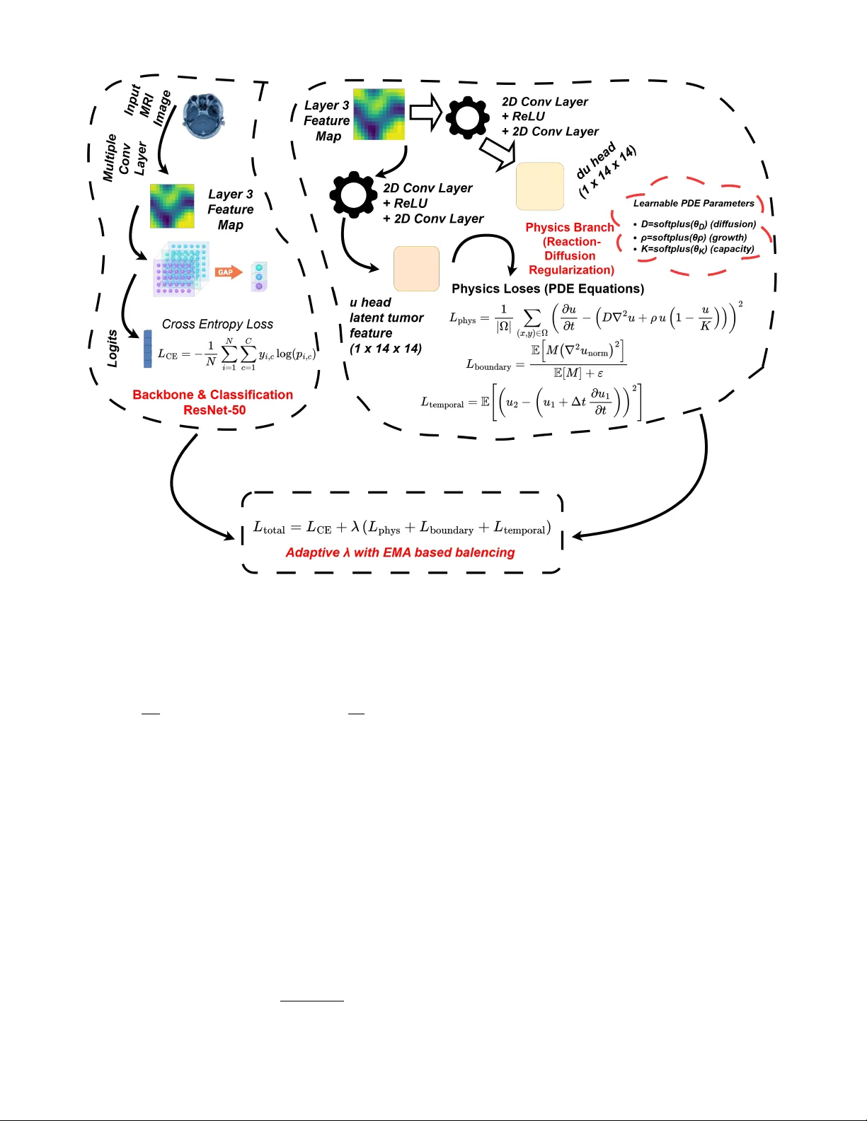 물리 기반 특징 학습으로 신뢰성 높은 뇌종양 AI 구현