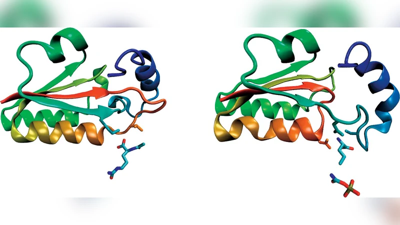 단백질 결절의 비밀: 기능·진화와 새로운 매듭