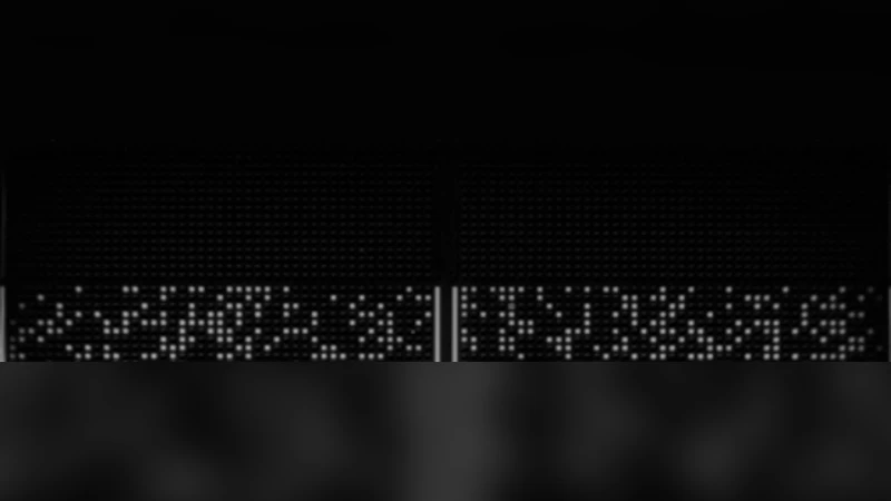 디지털 PCR 기반 다운증후군 검출