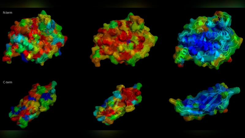 다중 서열 정렬을 위한 단계적 아미노산 그룹화 방법