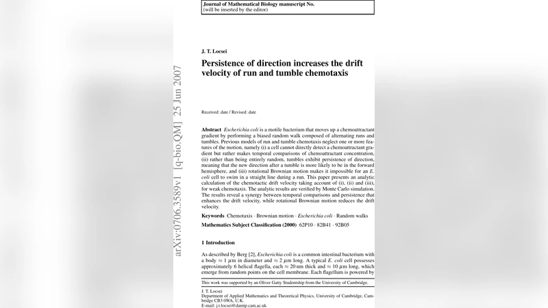 방향 지속성이 대장균 화학주성 이동 속도에 미치는 영향