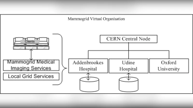 그리드 기반 의료 영상 시스템 구축 경험