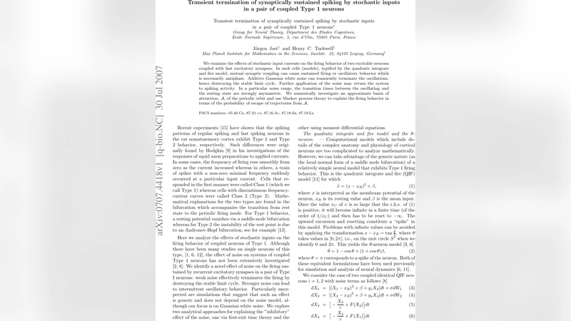 쌍으로 연결된 일형 뉴런의 동기 발화, 잡음에 의한 일시적 소멸