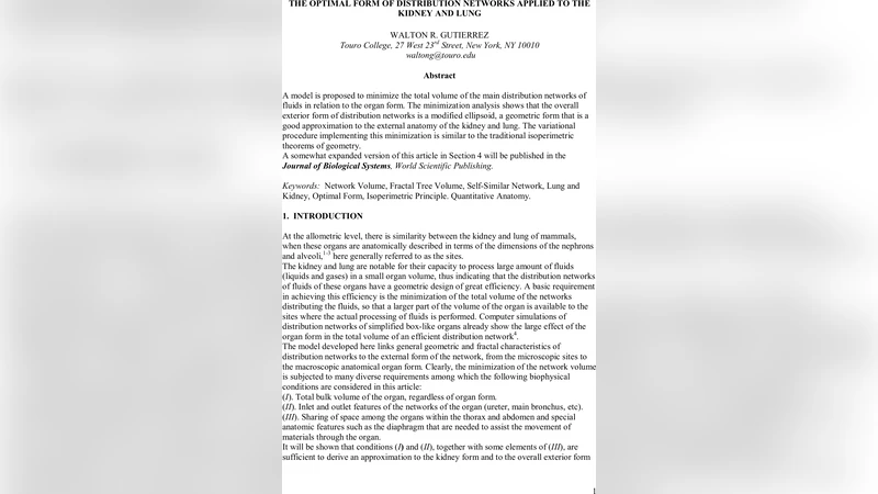 신장과 폐의 최적 분포망 형태