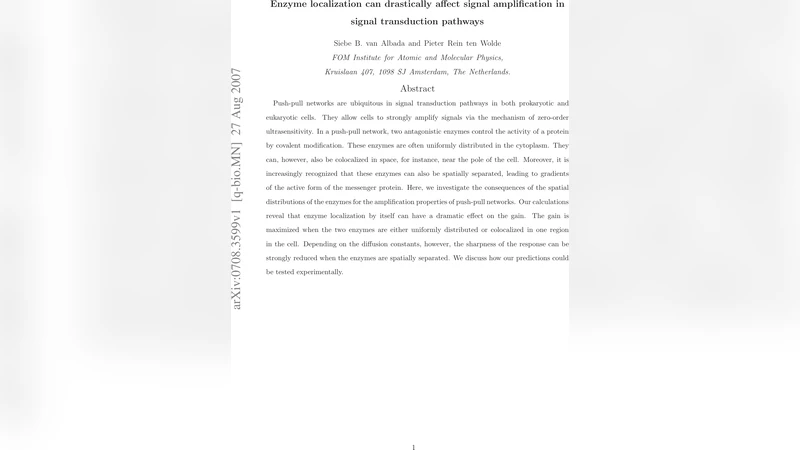 효소 위치가 신호 증폭에 미치는 극적인 영향