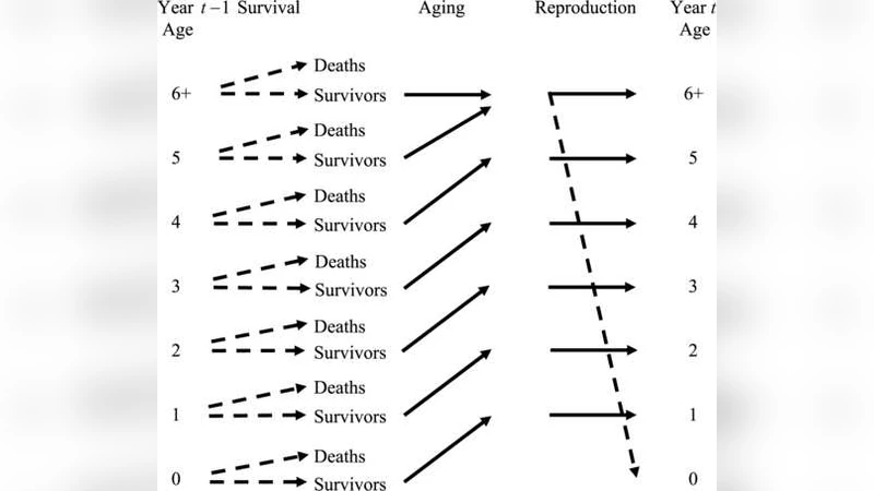 인구동태 모델을 추론에 녹여내다