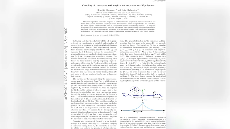 트레스‑1 별표면의 별점 검출과 이중 행성 가설 부정