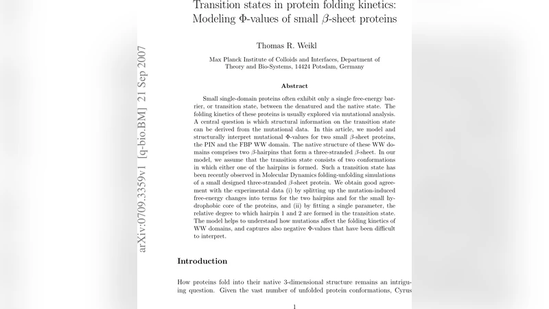 마그네터스 구역에서 공명 감마 축소자 전이