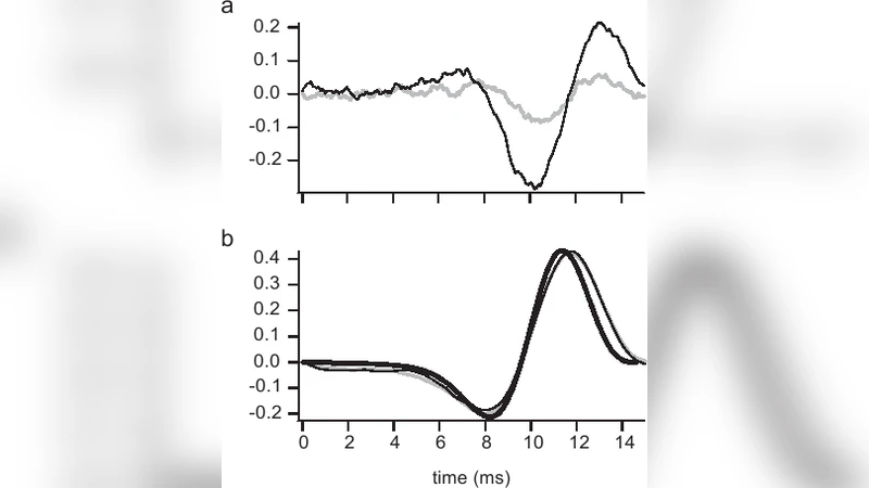 신경역학과 신경코딩을 잇는 다리: PRC와 STA의 정량적 연관성