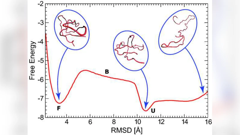 단백질 자유에너지 지형을 위한 메타다이내믹스‑몬테카를로 결합 방법