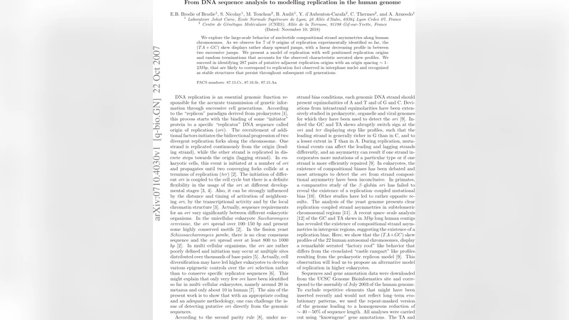 인간 게놈 복제 모델링과 서열 기반 기원 탐색