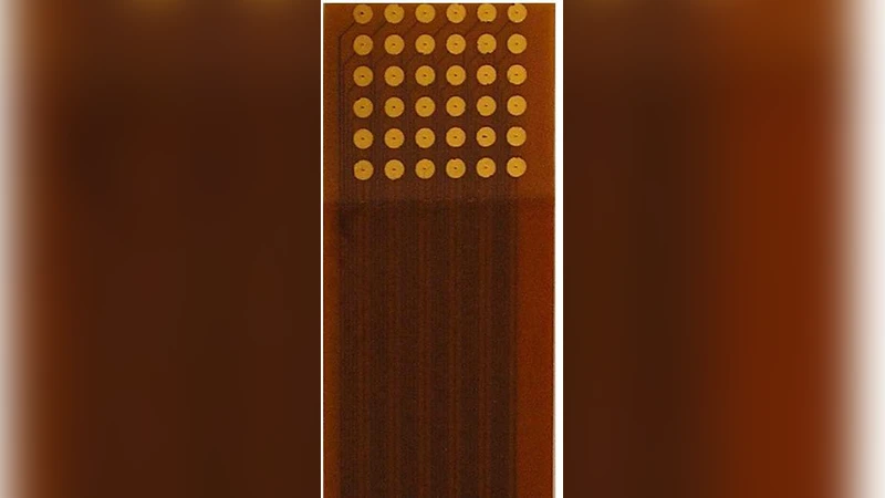 혀 전기촉각 자극 한계역치 규명