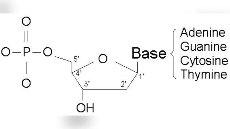 DNA 기반 관계형 데이터베이스 구축