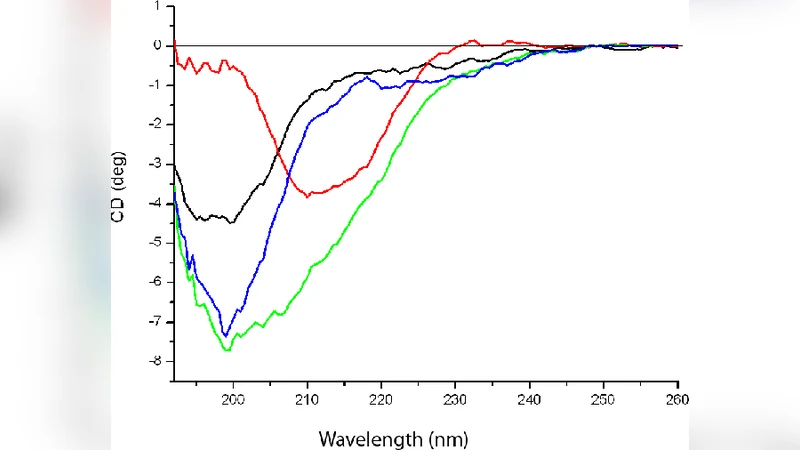 단일분자 수준에서 본 알파시누클레인 구조 평형