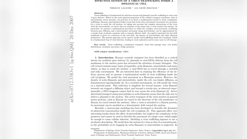 세포 내 바이러스 이동의 효과적 모델링