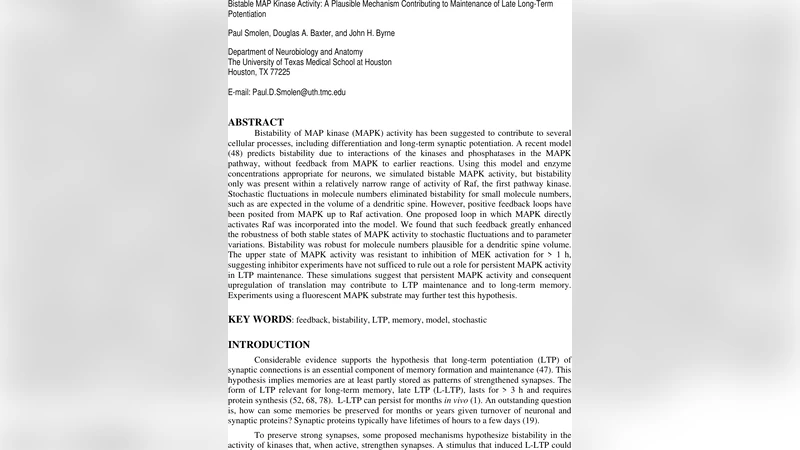 MAPK 이중안정성, 장기 강화 유지 메커니즘으로서의 가능성