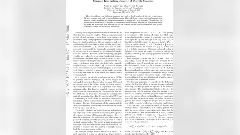 이산 시냅스의 정보 용량과 최적 학습 규칙