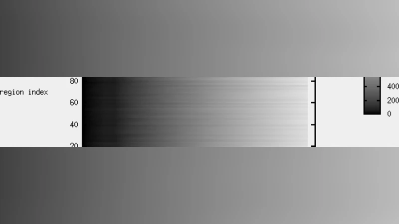 인공 유전체에서 나타나는 네트워크 구조와 강인성 진화