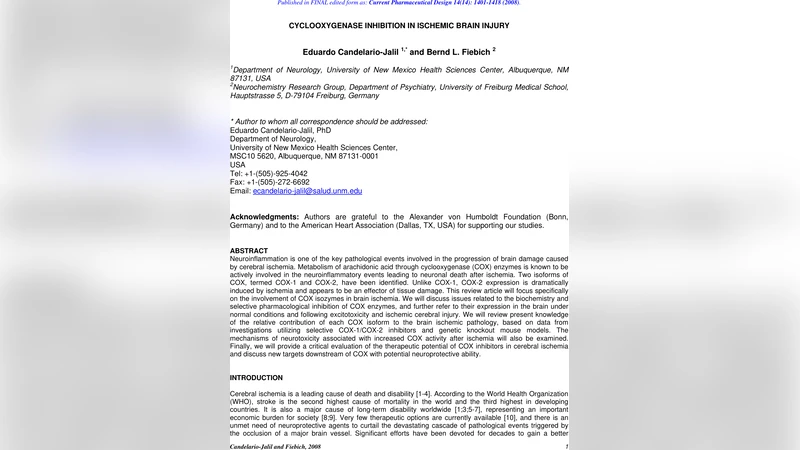 허혈성 뇌손상에서 사이클로옥시게네이스 억제