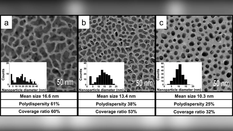 코로나19가 세계 운송 시스템에 미친 정치와 법적 변화