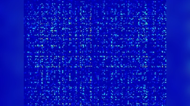 연결성 상관과 대뇌피질 발화율 분포