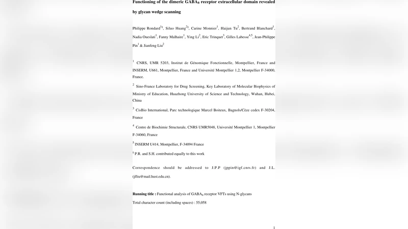 GABAB 수용체 외부 도메인 이합체 작동 메커니즘