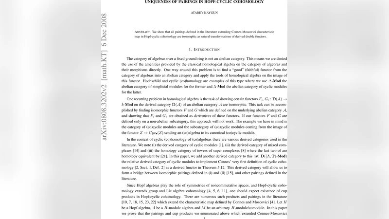 호프 사이클 코호몰로지 쌍대성의 유일성