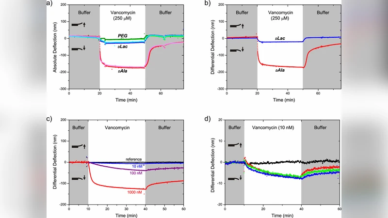 초감도 나노기계식 캔틸레버를 이용한 반코마이신‑뮤코펩타이드 결합 탐지