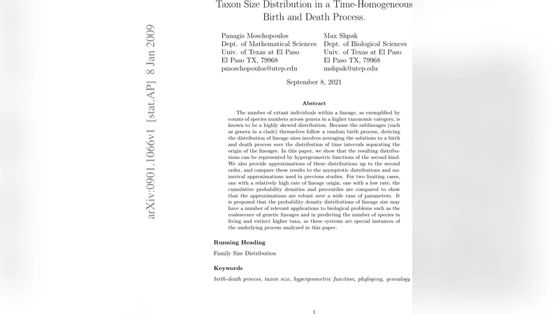 거울 세계를 위한 요크와형 중력 수정