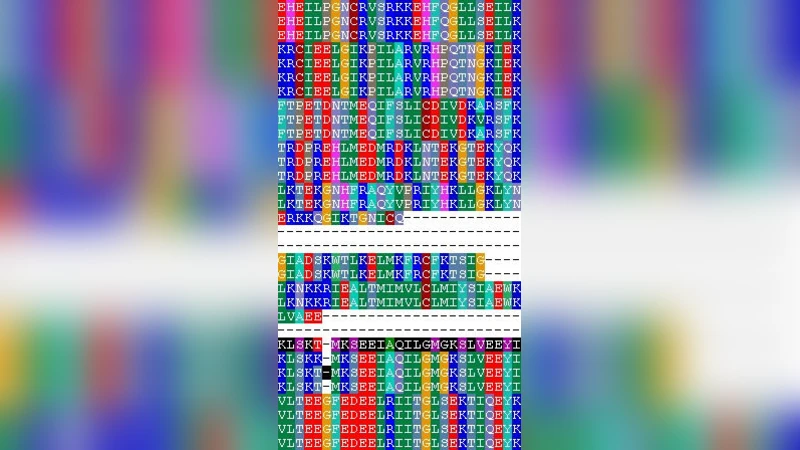 샘플‑얼라인‑디: 고성능 다중 서열 정렬을 위한 계통학적 샘플링 및 영역 분할 기법