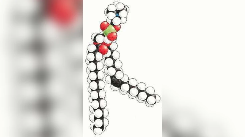 미토콘드리아 대사 다중에이전트 시뮬레이션
