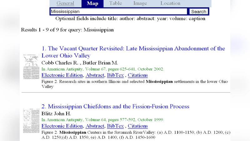 시간 같은 벡터장과 초기 우주의 동역학