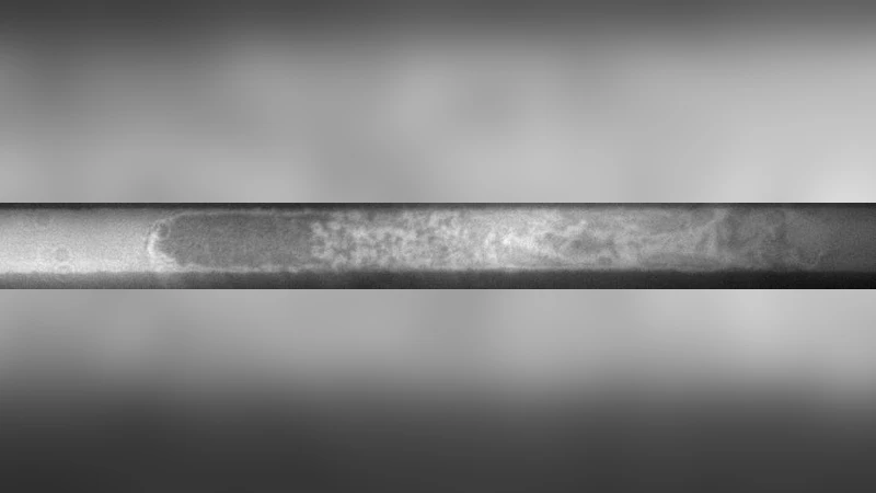 벽을 밀어내는 세포, 제한된 공간에서 움직이는 새로운 메커니즘