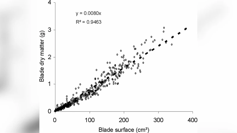 포뮬러1 챔피언십 게임으로 배우는 선형계획법