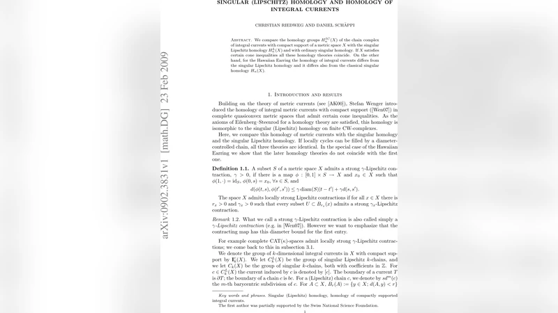 적분 전류와 리프시치 동형론의 동치와 차이