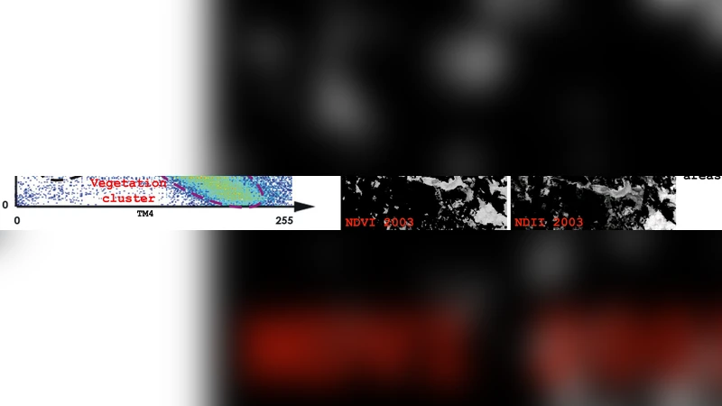 페텐 보호구역의 산림 파괴와 토양 침식 예측을 위한 원격탐사·GIS·모델 통합